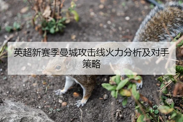 英超新赛季曼城攻击线火力分析及对手策略